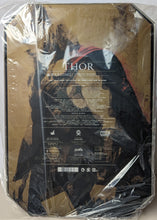 Load image into Gallery viewer, Hot Toys MMS225 Marvel Thor The Dark World Thor Light Asgardian Armor Version 1/6th Scale Action Figure