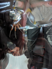 Load image into Gallery viewer, A Nightmare on Elm Street 2 Freddys Revenge Freddy Krueger 18" Action Figure