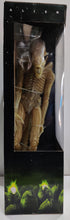 Load image into Gallery viewer, Alien 1/4 Scale Xenomorph Translucent Prototype Suit 24" Figure