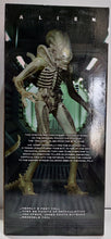 Load image into Gallery viewer, Alien 1/4 Scale Xenomorph Translucent Prototype Suit 24" Figure