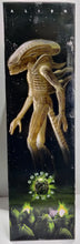 Load image into Gallery viewer, Alien 1/4 Scale Xenomorph Translucent Prototype Suit 24" Figure