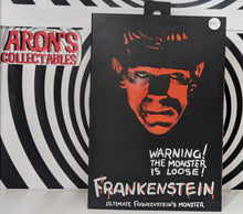 Load image into Gallery viewer, NECA Universal Monsters Frankenstein Action Figure
